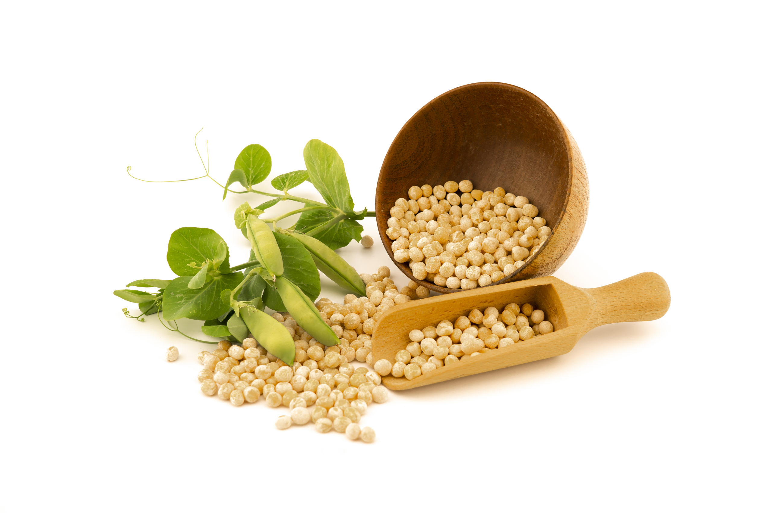 demand-for-alternative-protein-boosts-pulses-pulses